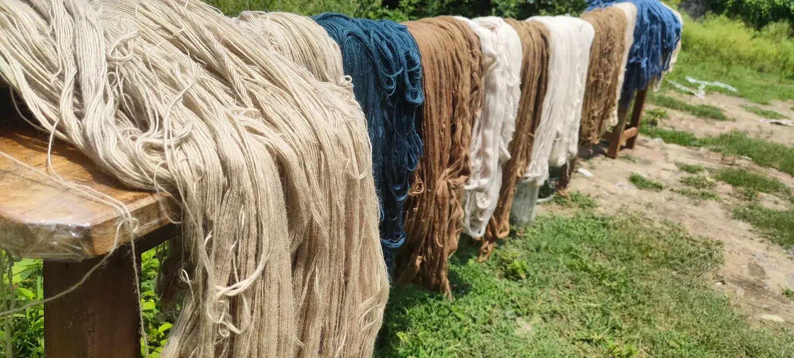 Freshly dyed wool hanks in a range of shades — cream, indigo, walnut, ivory — drying on a bench in the sun